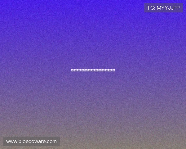 世界杯球迷之歌：从经典到创新的世界杯应援歌曲发展趋势分析